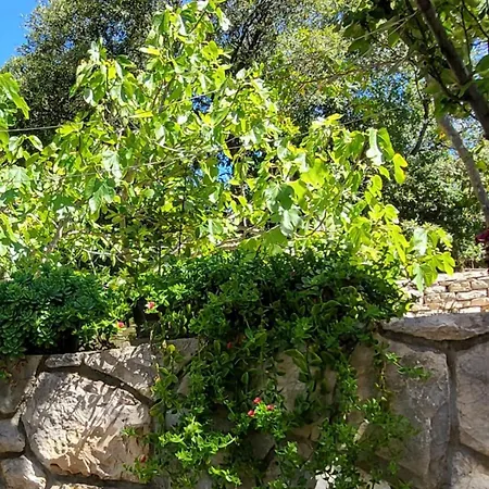 Arijeta Korcula Smokvica
